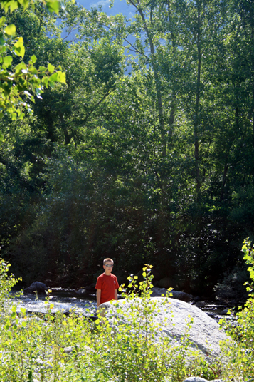 2007-07 Céret 004.jpg